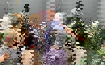 153775713_252441836341725_7449970025034317793_n.jpg