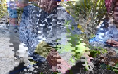 147785622_262997805262154_5873343281285562271_o.jpg