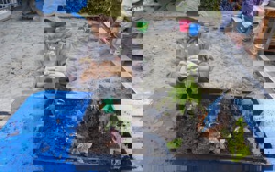 147917843_262997895262145_5465785794006241782_o.jpg