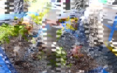 147946353_262997798595488_6240271793343381499_o.jpg