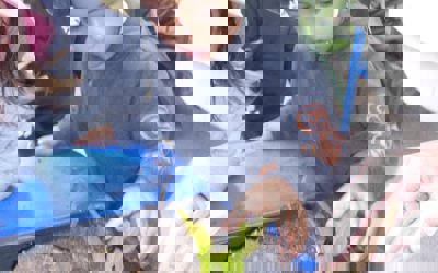 148110355_262997815262153_3292446164604229229_o.jpg