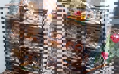 148209332_262956705266264_1769731069486402251_o.jpg