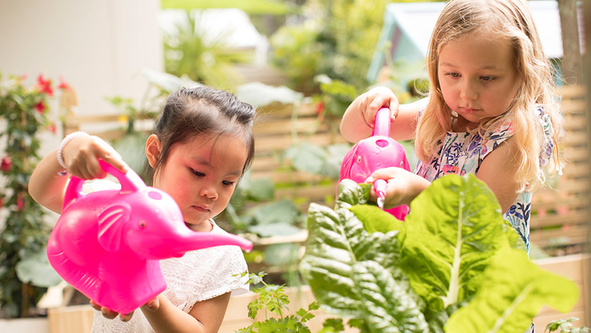 Lollipops Early Learning | Daycare | Preschool