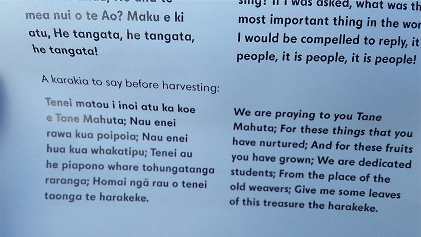 Maori-language-week-01.jpg