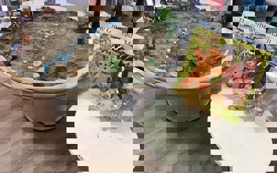 Kakapo Room 1.jpg